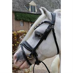 Hoofdstel HB Showtime Special A-Pony Black-blue