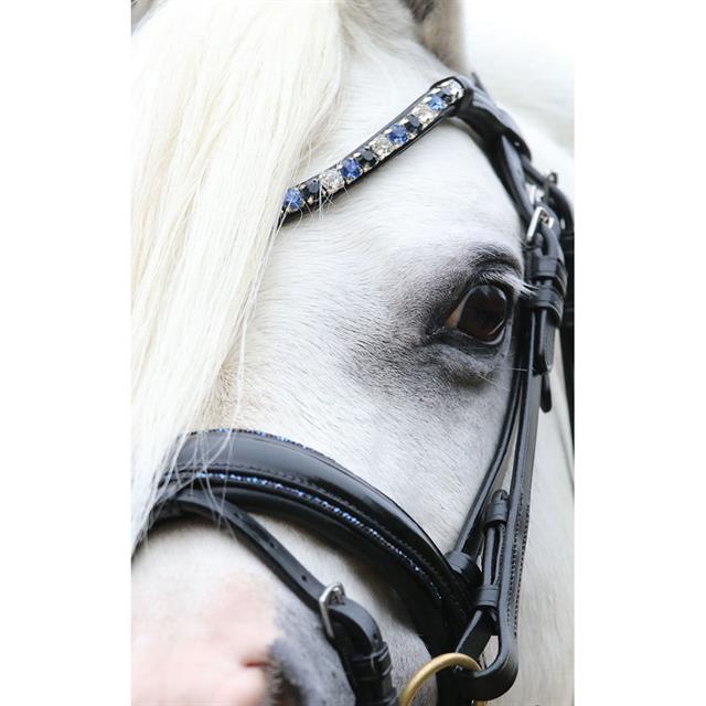 Hoofdstel HB Showtime Special A-Pony Black-blue
