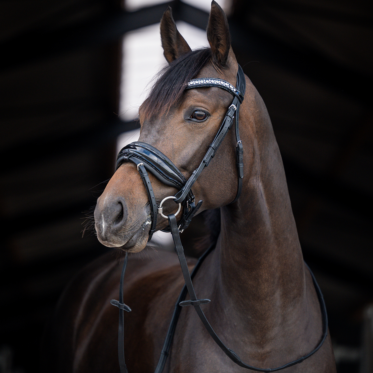Hoofdstel Hb Showtime Stockholm Zwart, A-PONY in zwart