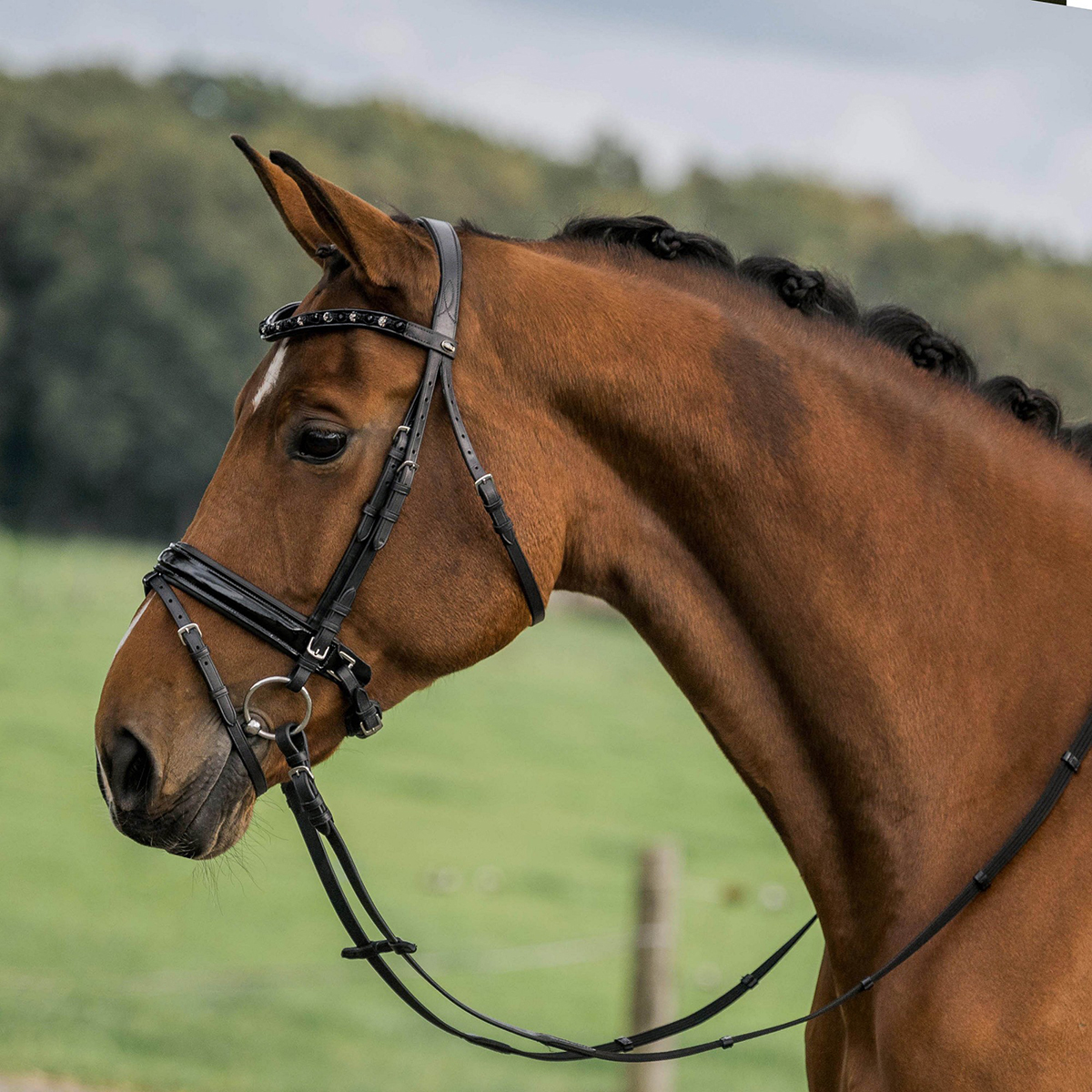Horka Hoofdstel Flamingo Zwart - paard