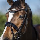 Hoofdstel HORSEGEAR HGBlush Zwart