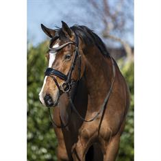 Hoofdstel HORSEGEAR HGBlush Zwart