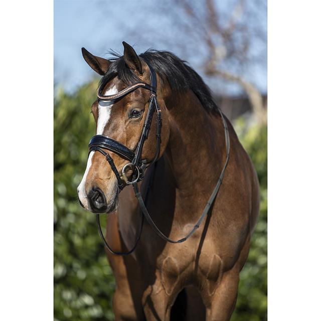 Hoofdstel HORSEGEAR HGBlush Zwart