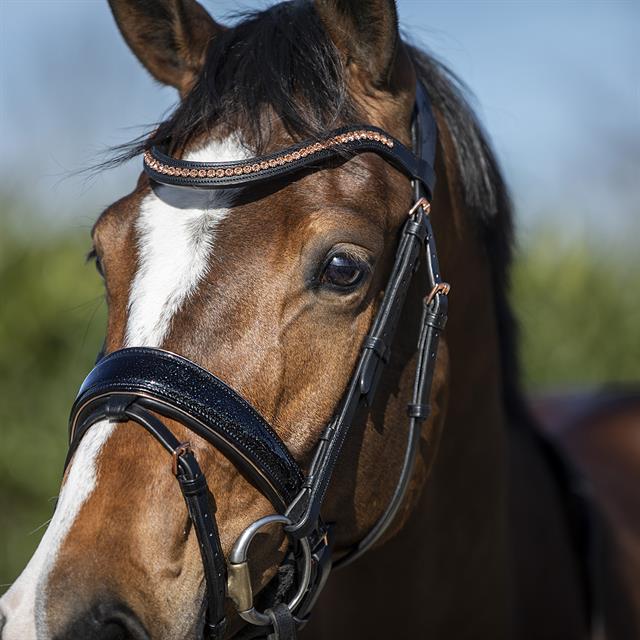 Hoofdstel HORSEGEAR HGBlush Zwart