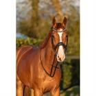 Hoofdstel HORSEGEAR HGGreylin Zwart