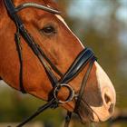 Hoofdstel HORSEGEAR HGGreylin Zwart