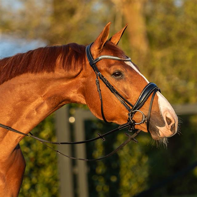 Hoofdstel Horsegear HGGreylin Zwart