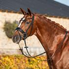 Hoofdstel HORSEGEAR HGLe Noir Zwart