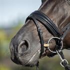 Hoofdstel HORSEGEAR HGLe Noir Zwart