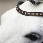 Hoofdstel HORSEGEAR HGLembut Soft Zwart