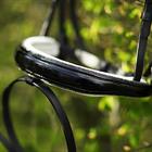 Hoofdstel HORSEGEAR HGLucido Zwart-wit