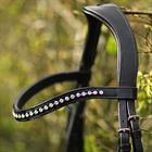 Hoofdstel HORSEGEAR HGLucido Zwart-wit