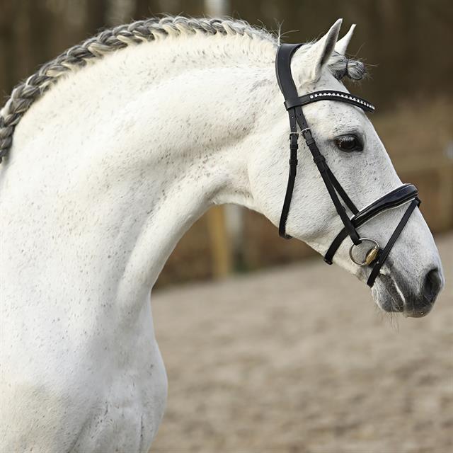 Hoofdstel HORSEGEAR HGLucido Zwart-wit