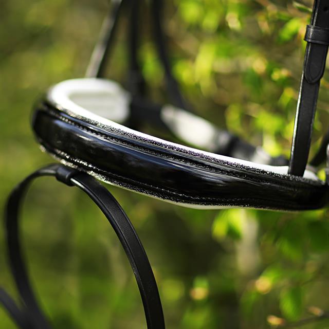Hoofdstel HORSEGEAR HGLucido Zwart-wit