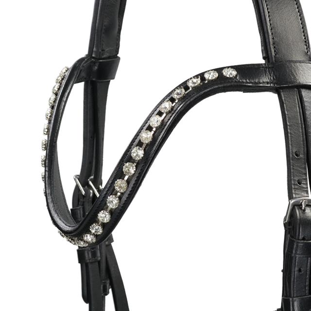 Hoofdstel HORSEGEAR HGLucido Zwart-zwart
