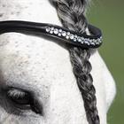 Hoofdstel Horsegear Honestus Zwart
