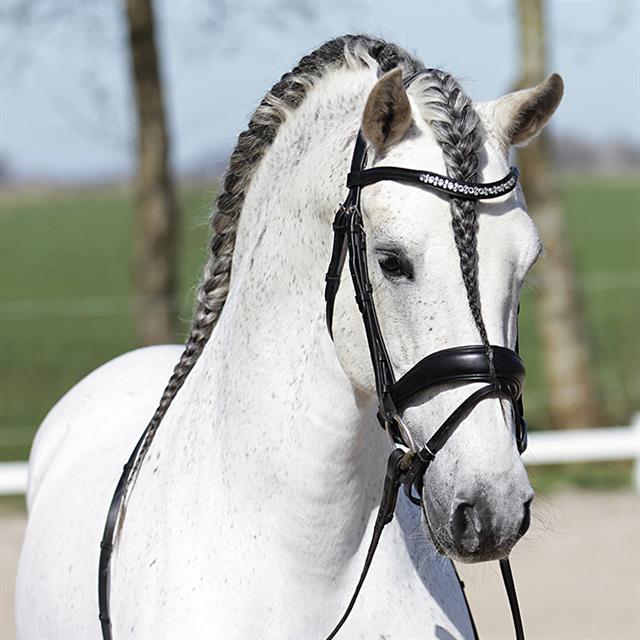 Hoofdstel Horsegear Honestus Zwart