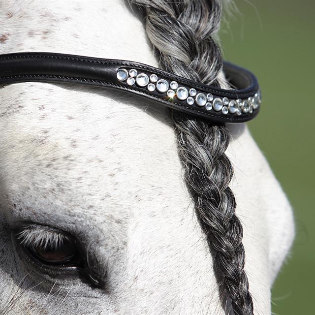 Hoofdstel Horsegear Honestus Zwart