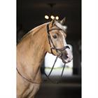 Hoofdstel Horsegear Quasar Bruin-goud