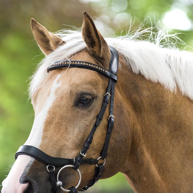 Hoofdstel Horsegear Quasar Zwart-zilver