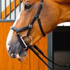 Hoofdstel Horseware Micklem Deluxe Competition 2.0 Zwart