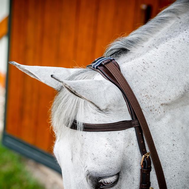 Hoofdstel Horseware Micklem Multi Bridle 2.0 Bruin