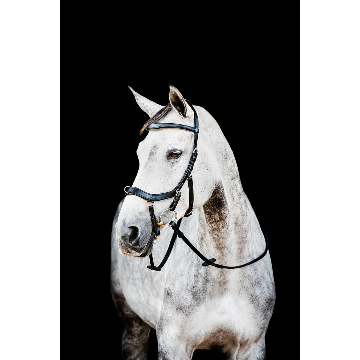 Hoofdstel Horseware Micklem Multi Bridle 2.0 Zwart, PONY in zwart