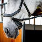 Hoofdstel Horseware Micklem Multi Bridle 2.0 Zwart