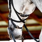 Hoofdstel Horseware Micklem Multi Bridle 2.0 Zwart