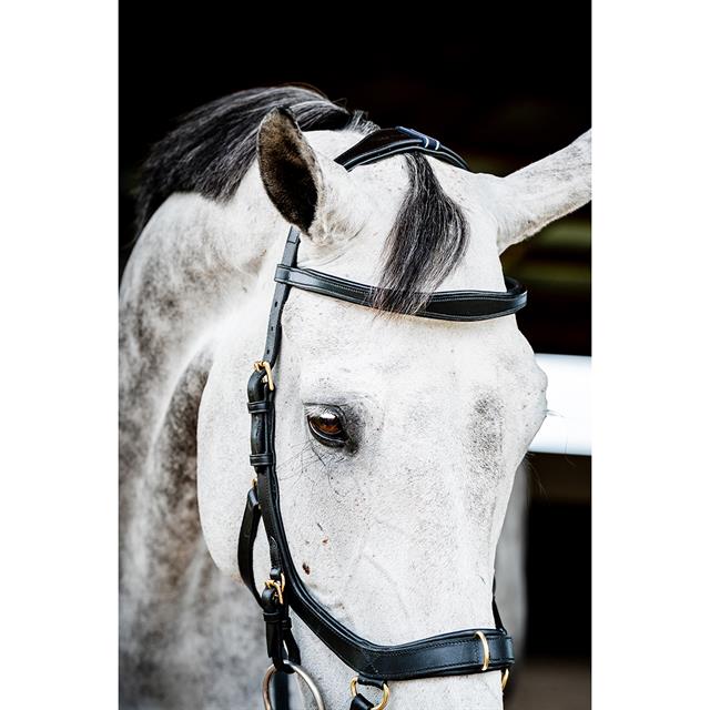 Hoofdstel Horseware Micklem Multi Bridle 2.0 Zwart