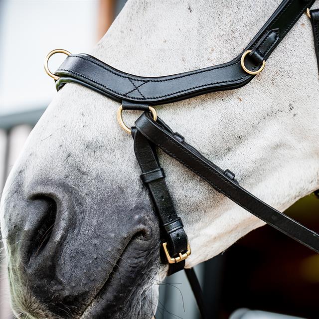 Hoofdstel Horseware Micklem Multi Bridle 2.0 Zwart