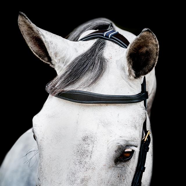 Hoofdstel Horseware Micklem Multi Bridle 2.0 Zwart