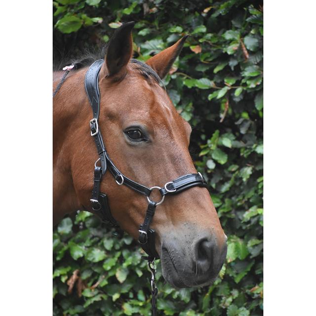 Hoofdstel Human&Horse Heart By Greetje Hakvoort Zwart