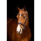 Hoofdstel LeMieux Arika Dressage Bruin