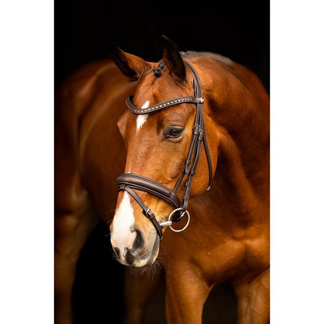 Hoofdstel LeMieux Arika Dressage Bruin