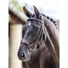 Hoofdstel LeMieux Kudos Clear Arc Bruin-goud