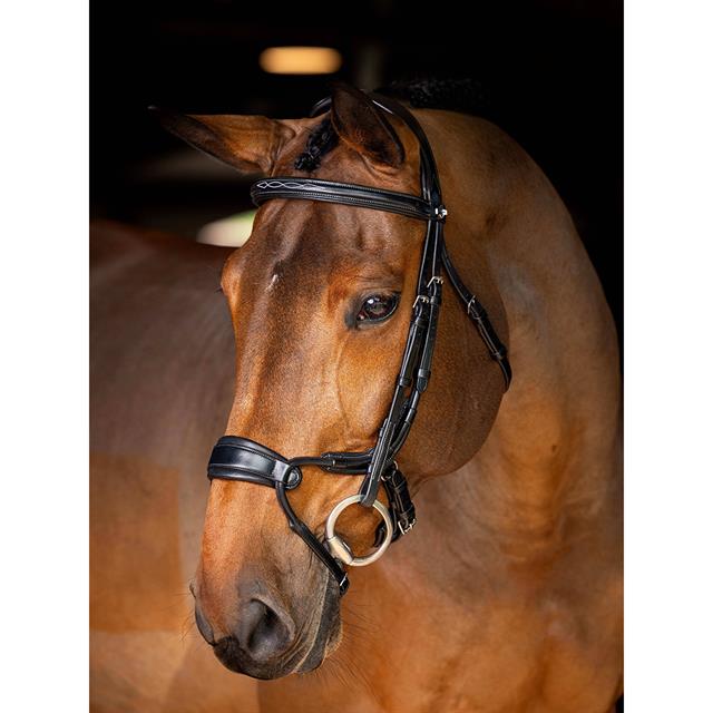 Hoofdstel LeMieux Kudos Clear Arc Zwart-zilver