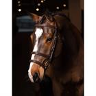 Hoofdstel LeMieux Kudos Double Noseband Bruin-goud