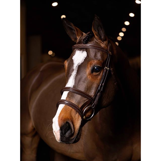 Hoofdstel LeMieux Kudos Double Noseband Bruin-goud