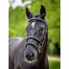 Hoofdstel LeMieux Kudos Double Noseband Zwart-zilver