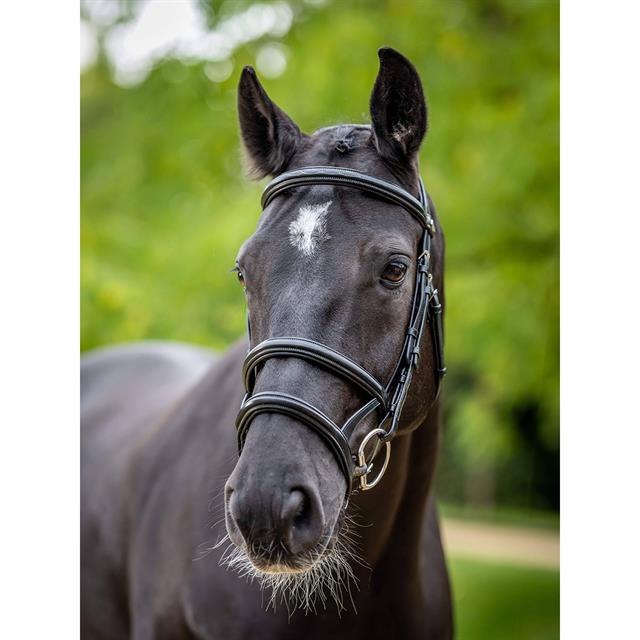 Hoofdstel LeMieux Kudos Double Noseband Zwart-zilver