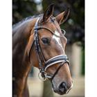 Hoofdstel LeMieux Kudos Dressage Lak Bruin-wit