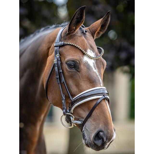 Hoofdstel LeMieux Kudos Dressage Lak Bruin-wit