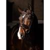 Hoofdstel LeMieux Kudos Dressage Lak Bruin