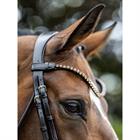 Hoofdstel LeMieux Kudos Dressage Lak Bruin
