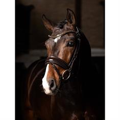 Hoofdstel LeMieux Kudos Dressage Lak Bruin