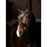 Hoofdstel LeMieux Kudos Dressage Lak Bruin