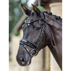 Hoofdstel LeMieux Kudos Dressage Lak Zwart-zwart