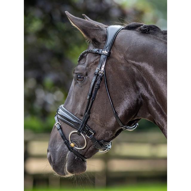 Hoofdstel LeMieux Kudos Dressage Lak Zwart-zwart