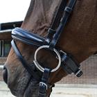 Hoofdstel Montar Fair Zwart